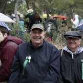 Romeria de les Canyes