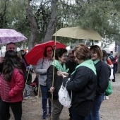 Romeria de les Canyes