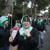 Romeria de les Canyes