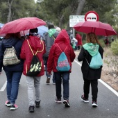 Romeria de les Canyes