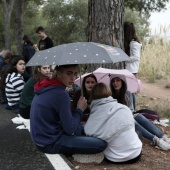 Romeria de les Canyes