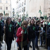 Romeria de les Canyes