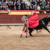 Feria taurina