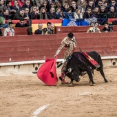 Feria taurina