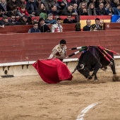 Feria taurina