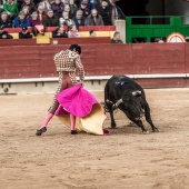 Feria taurina