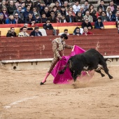 Feria taurina