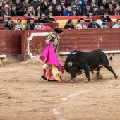 Feria taurina