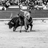 Feria taurina