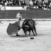 Feria taurina