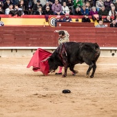 Feria taurina