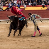 Feria taurina