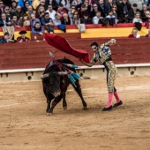 Feria taurina