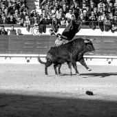 Feria taurina