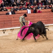 Feria taurina