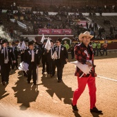 Feria taurina