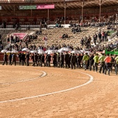 Feria taurina