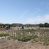 Proyecto de huertos sociales