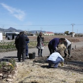 Proyecto de huertos sociales