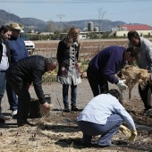 Proyecto de huertos sociales