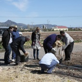 Proyecto de huertos sociales