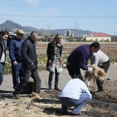 Proyecto de huertos sociales