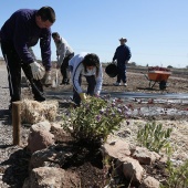 Proyecto de huertos sociales