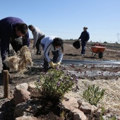 Proyecto de huertos sociales