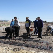 Proyecto de huertos sociales