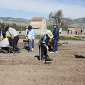 Proyecto de huertos sociales