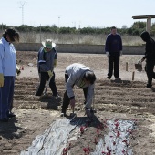 Proyecto de huertos sociales