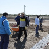 Proyecto de huertos sociales
