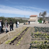 Proyecto de huertos sociales