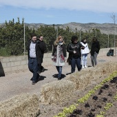 Proyecto de huertos sociales