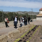 Proyecto de huertos sociales