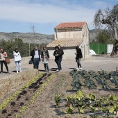 Proyecto de huertos sociales