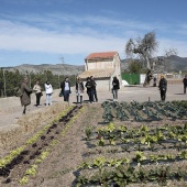 Proyecto de huertos sociales