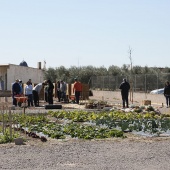 Proyecto de huertos sociales