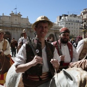 Gegants, Nanos i Cavallets