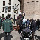 Gegants, Nanos i Cavallets