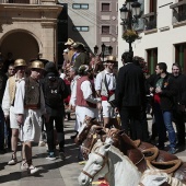 Gegants, Nanos i Cavallets