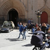 Gegants, Nanos i Cavallets