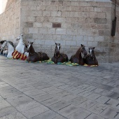 Gegants, Nanos i Cavallets