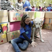 I Jornadas de Autismo y Arte