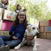 I Jornadas de Autismo y Arte