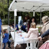 I Jornadas de Autismo y Arte