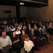 Premis Ciutat de Castelló