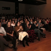 Premis Ciutat de Castelló