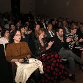 Premis Ciutat de Castelló