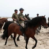 Guardia Real en Benicàssim